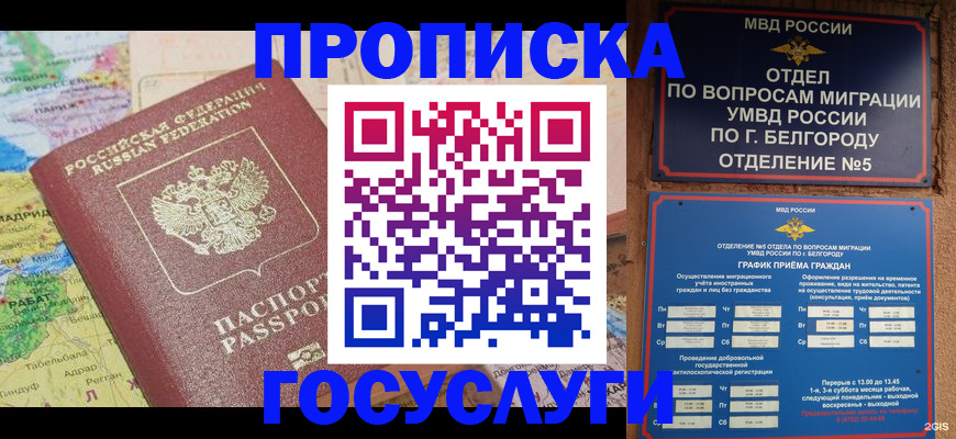 прописка регистрация в Невеле